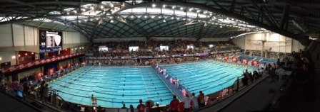 Sheffield Pool